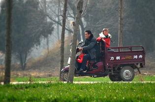 马路骑士  第2张