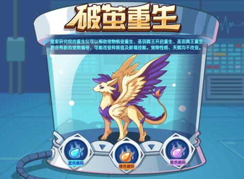 破茧重生,逆境中的蜕变与崛起  第3张