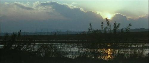 女番长布鲁斯:雌蜂的挑战 第3张 女番长布鲁斯:雌蜂的挑战 第3张