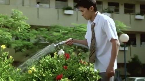 家道中二,逆境中的奋斗与重生 第2张 家道中二,逆境中的奋斗与重生 第2张