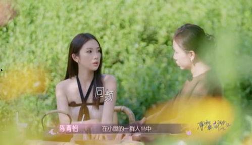 有秘密的我们,探寻友情与成长的秘密之旅  第2张