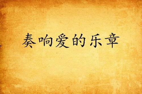 爱的乐章,奏响心灵深处的和谐旋律  第2张