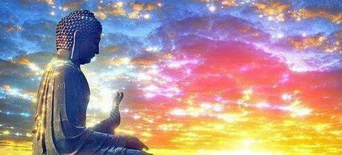 新爱就在眼前,探寻爱情新篇章的无限可能