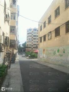 达道里,哈尔滨繁华商圈的璀璨明珠  第3张