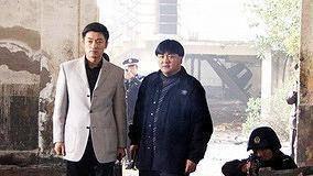 第六个嫌疑人,揭开神秘面纱的真相揭晓  第2张