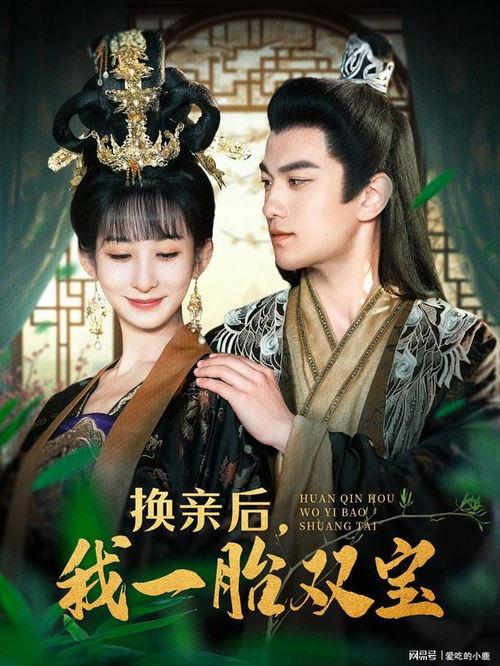 换亲后，我一胎双宝,喜提双胞胎的甜蜜惊喜  第2张