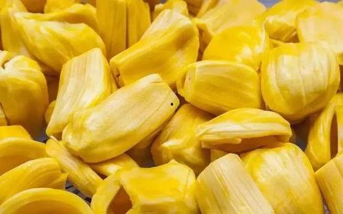 菠萝蜜,热带果王背后的传奇与魅力  第3张