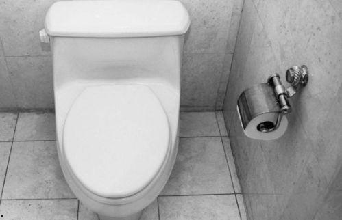 马桶神探,揭秘隐秘角落的神秘故事  第2张